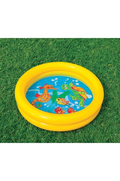 BAGNETTO FIRST POOL 61/WINNIE POOH