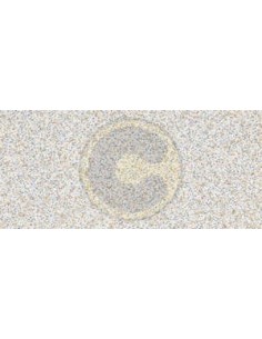 COPRIPAVIMENTO IN PVC MODELLO CORALLO ALTEZZA 200 CM