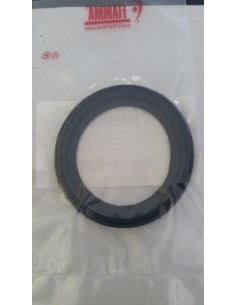 KIT GUARNIZIONE INFERIORE PER VALVOLA BIPOT- TANK 21-TANK 18