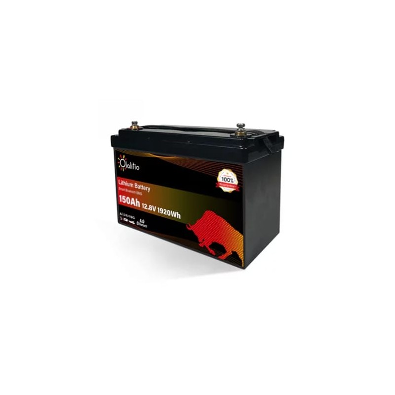 BATTERIA A LITIO 100 AH  12,8 V
