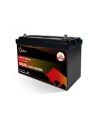 BATTERIA A LITIO 100 AH