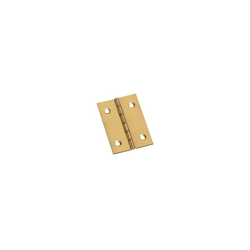 CERNIERE N2 IN BLISTER PIU VITI 1X50 MM