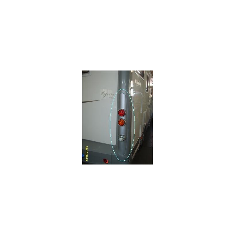 PLACCA PORTAFANALI  POSTERIORE  DX COLORE...