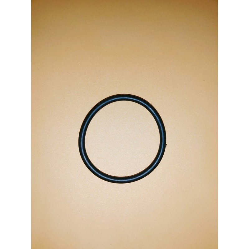 ANELLO O RING DIAMETRO 70 MMHYMER
