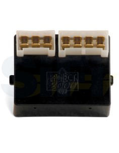 CENTRALINA ELETTRONICA PER GRADINI ELETTRICI 2