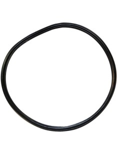 GUARNIZIONE MECCANISMO WC  THETFORD C250/C260/C400/C500 2