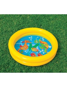 BAGNETTO FIRST POOL 61/WINNIE POOH