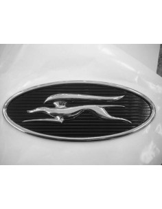 LOGO LAIKA CON CANE OVALE NERO